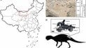У Китаї на глибині 473 метрів знайшли рештки динозавра. Фото: Tianyu Li et al./Earth History and Biodiversity