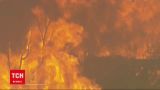 Европу охватили масштабные пожары из-за засухи / Португалия, Франция, Великобритания, погода – ТСН