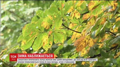 Протягом робочого тижня в Україні триматиметься тепла погода