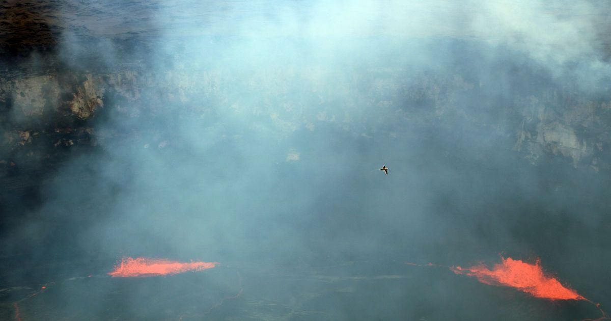 вулкан Кілауеа на Гавайах_2 / © usgs.gov