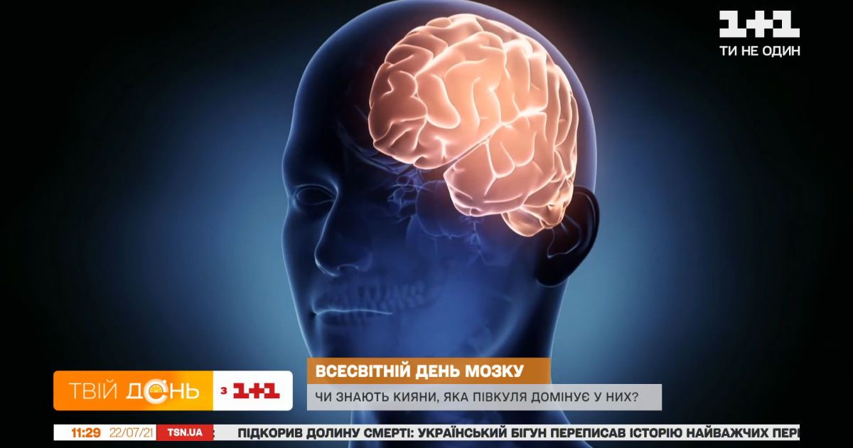 Яка півкуля вашого мозку домінує
