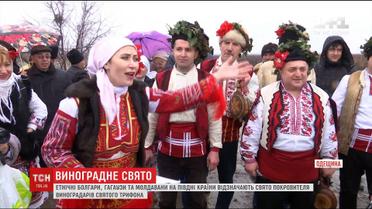 Етнічні болгари, гагаузи та молдавани розпочали сезон обрізання лози