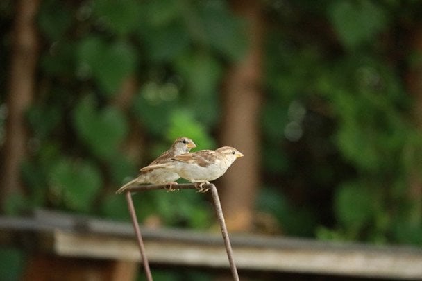 Ясна та тепла погода на 3 травня — до гарного літа / © unsplash.com