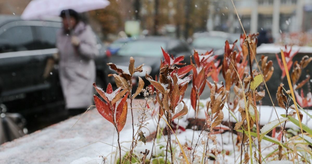 Потепління та опади: прогноз погоди в Україні на четвер, 2 грудня