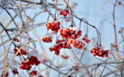 Мало снега и теплая погода: синоптики предусмотрели, какой будет зима в Украине