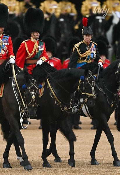 Принц Уильям, принц Эдвард и принцесса Анна на параде Trooping the Color 2024 / © Getty Images