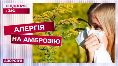Сезонна алергія! Як вберегтись від пилку амброзії? Поради алерголога Лариси Прохорової