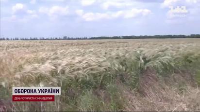 Польща і Угорщина наклали ембарго на українське зерно