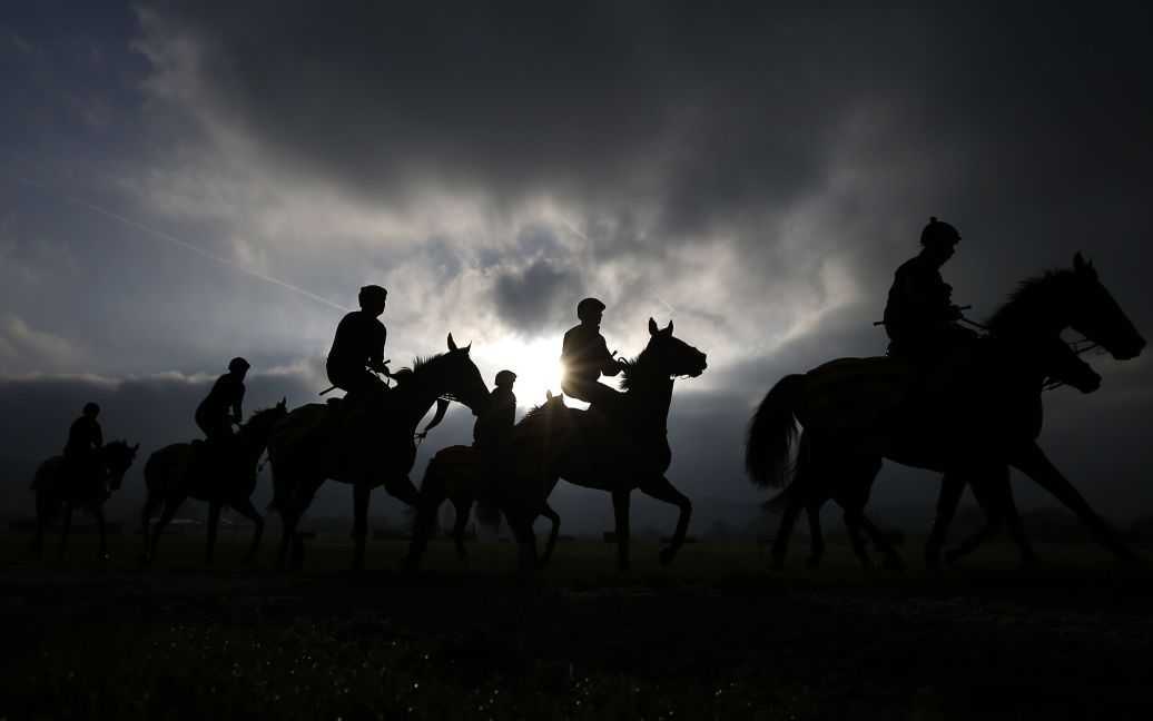 Конные скачки Cheltenham Gallops в курортном городе Челтнем в Англии. / © Reuters