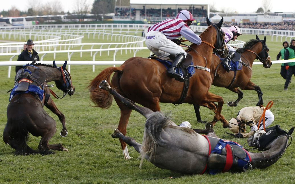 Участники скачек в английском Челтенхеме падают с коней. / © Reuters