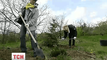Садок у формі мапи України висаджують в ботанічному саду імені Гришка