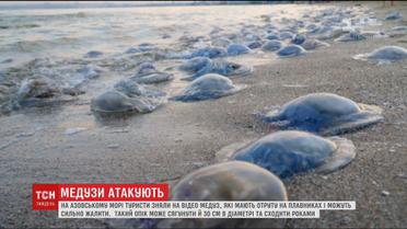 Отруйна медуза Корнерот з'явилася в Азовському морі