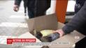 Львовские зоозащитники устроили засаду, чтобы спасти краснокнижных ястребов