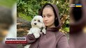 У Києві розпочалася реєстрація тварин!