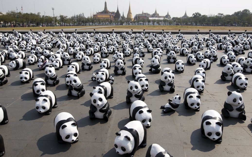 Французский скульптор в Бангкоке представил 1600 уникальных панд / © Reuters
