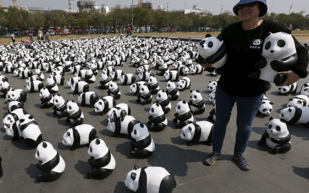 Французский скульптор в Бангкоке представил 1600 уникальных панд / © Reuters