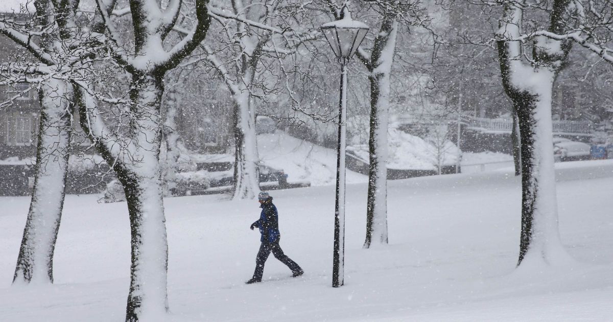 Снегопад создал хаос на дорогах. / © Reuters