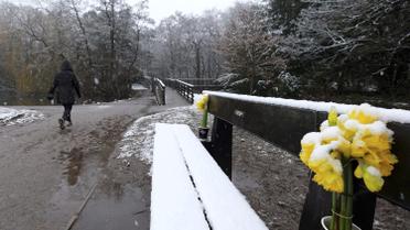 Снегопад создал хаос на дорогах. / © Reuters