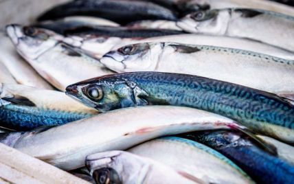 Оселедець та лосось: українці стали більше виробляти консервованої риби