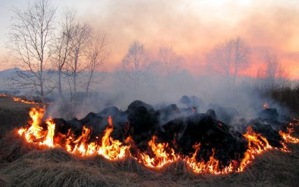 В Киеве на левом берегу загорелся лесопарк
