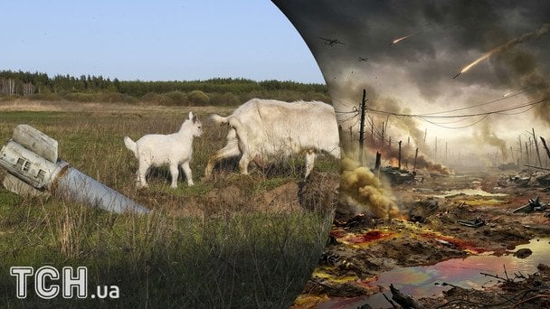 Війна в Україні та наслідки для довкілля