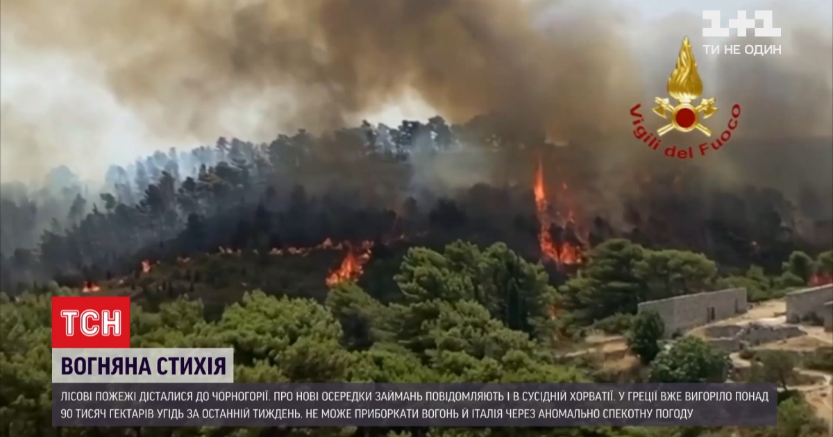 Лісові пожежі розповсюдилися вже на Чорногорію, Хорватію та Італію: як країни борються зі стихією