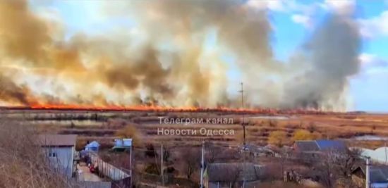 Масштабна пожежа в Одеській області: горить територія національного парку (відео)