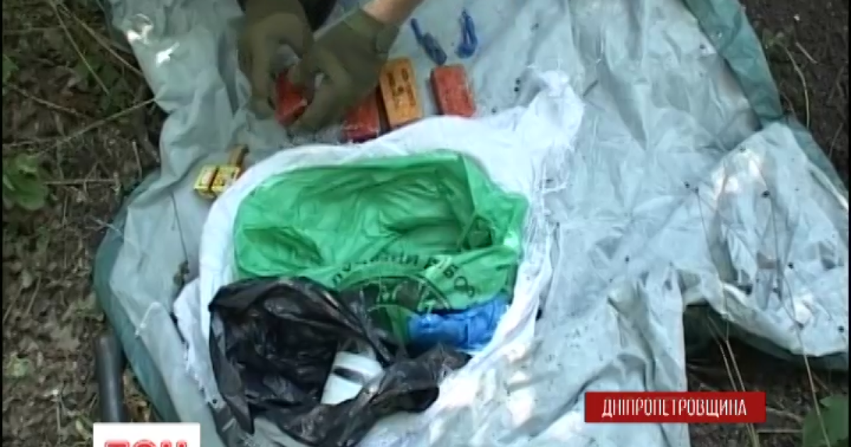 Возле Новомосковска найдены скрытые в лесополосе 3 кг тротила