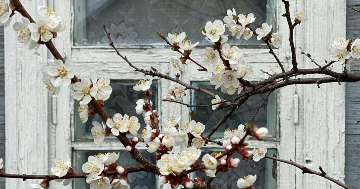 Який сьогодні, 11 квітня, день ангела