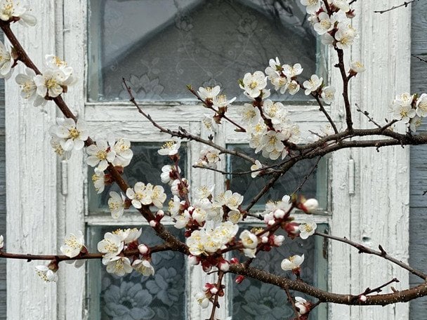 День ангела 11 квітня: кого та як вітати з іменинами