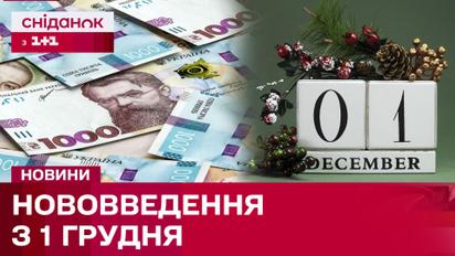 Зміни з 1 грудня: Зимова єПідтримка, Збільшення податків, Нові правила бронювання працівників