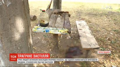 Взрыв в Черниговской области: мужчина принес гранату и она сдетонировала прямо в руках