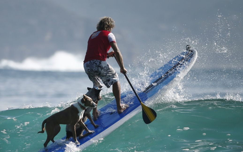 Крис научил своих любимцев покорять волны / © Reuters