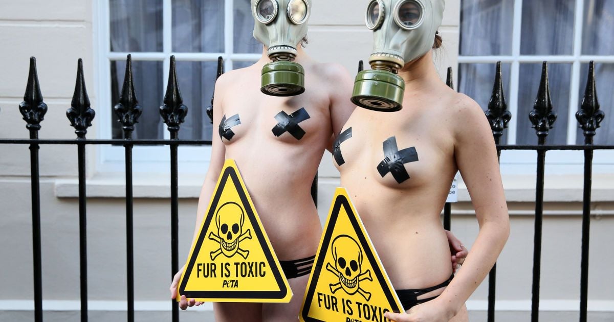 В Лондоне голые модели в противогазах вышли протестовать против убийств животных — Фото