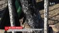 Бої в Авдіївській промзоні тривають майже добу, є загиблі