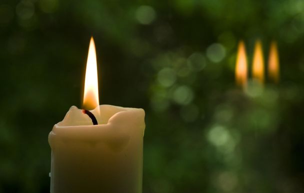 Яке зілля святять на Зелені свята та інші традиції / © pixabay.com