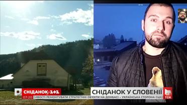 “Сніданок” у Словенії: що варто знати туристу-новачку