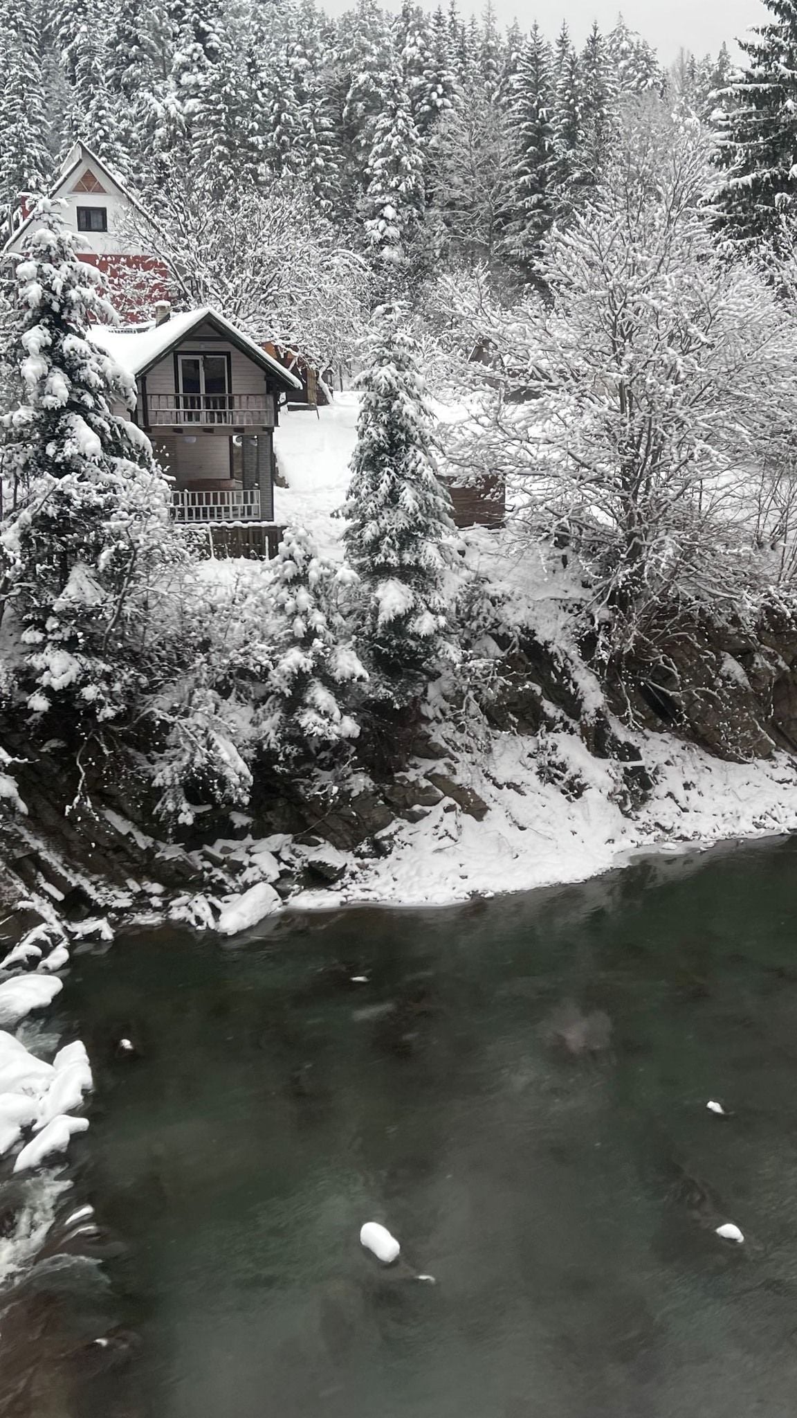 Тина Кароль отдыхает в Карпатах / © instagram.com/tina_karol