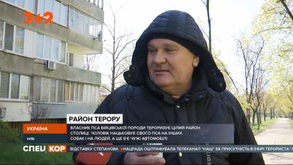 У столиці завівся неадекват: чоловік нацьковує свого бійцівського пса на інших собак та людей