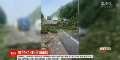 Поваленное ураганом дерево перекрыло международную трассу Киев-Чоп