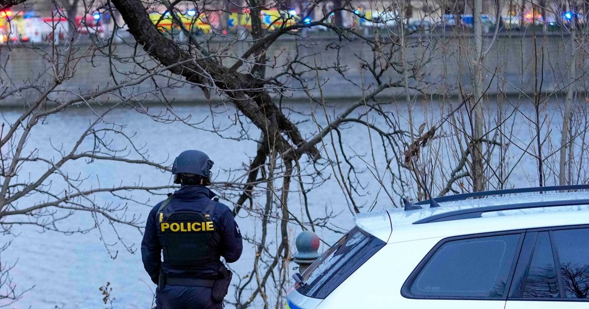 Поліція Чехії.