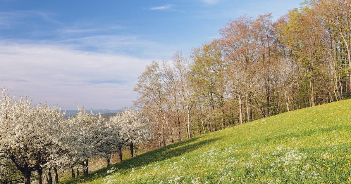 Какой будет погода в Украине 15 апреля