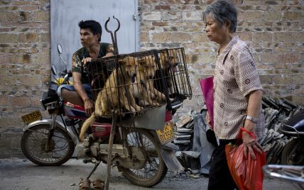 "Историческое решение": в Китае запретили есть домашних животных из-за пандемии коронавируса