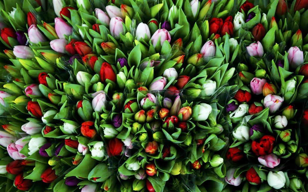 Цветы накануне Дня Святого Валентина продаются на рынке в Вене, Австрия. / © Reuters
