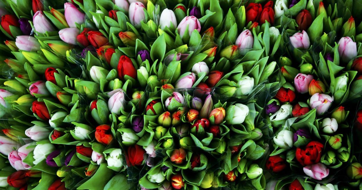 Цветы накануне Дня Святого Валентина продаются на рынке в Вене, Австрия. / © Reuters