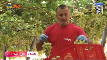 Продовольственный кризис: Евросоюз анонсировал шестой пакет санкций против России