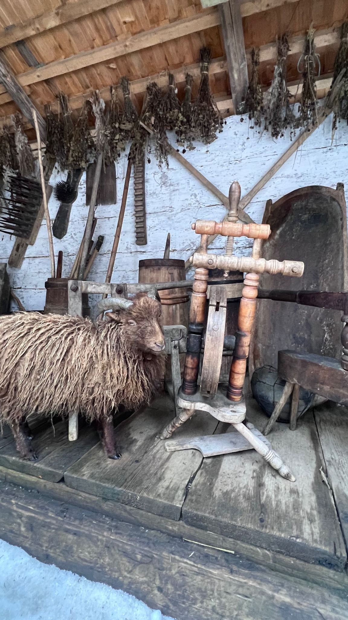 Тина Кароль отдыхает в Карпатах / © instagram.com/tina_karol