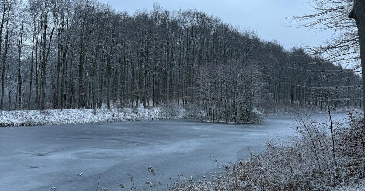 Морози не відступають