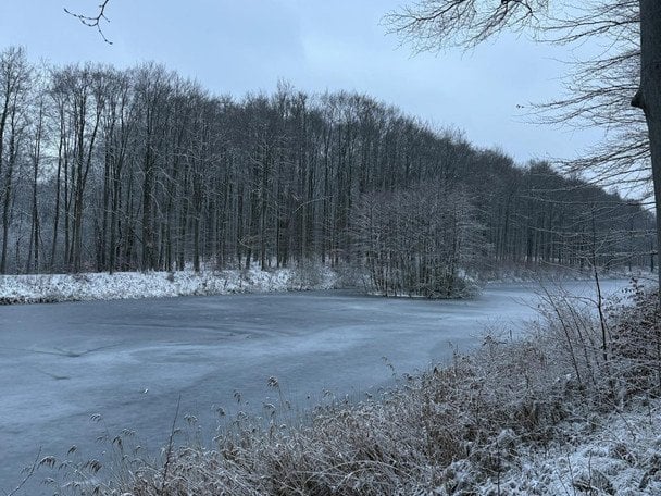 Народные приметы 14 января / © pexels.com