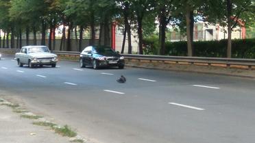 ДТП мотоцикліст Київ_4 / © ТСН.ua
